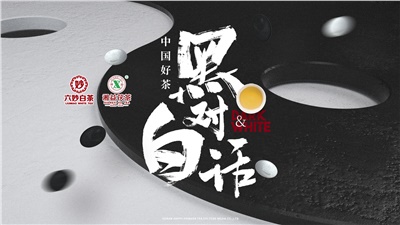 首屆黑白對(duì)話高峰論壇圓滿落幕！湘益茯茶備受關(guān)注！