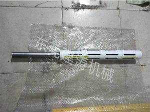 賽剛氣脹軸